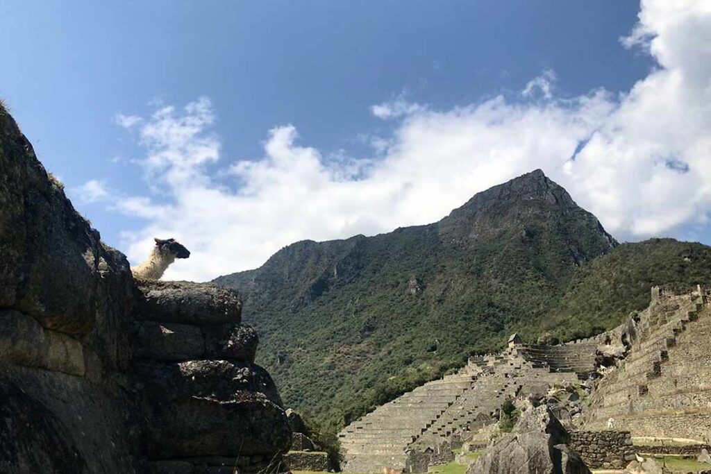 machu picchu travel safety