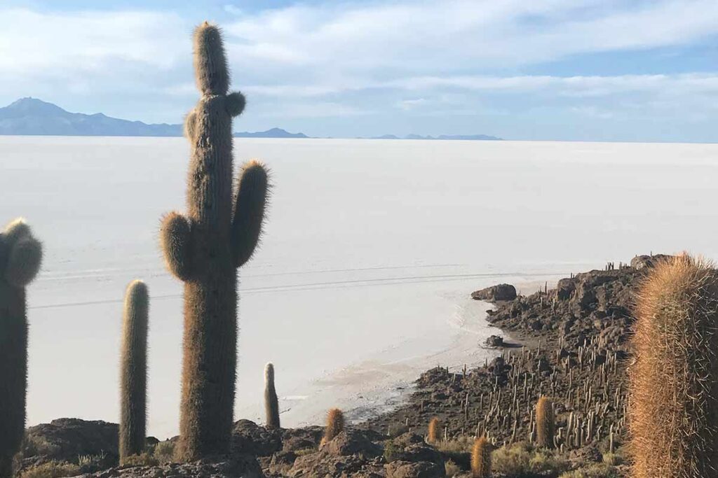 Incahuasi Island Bolivia Salt Flats 1024x683 