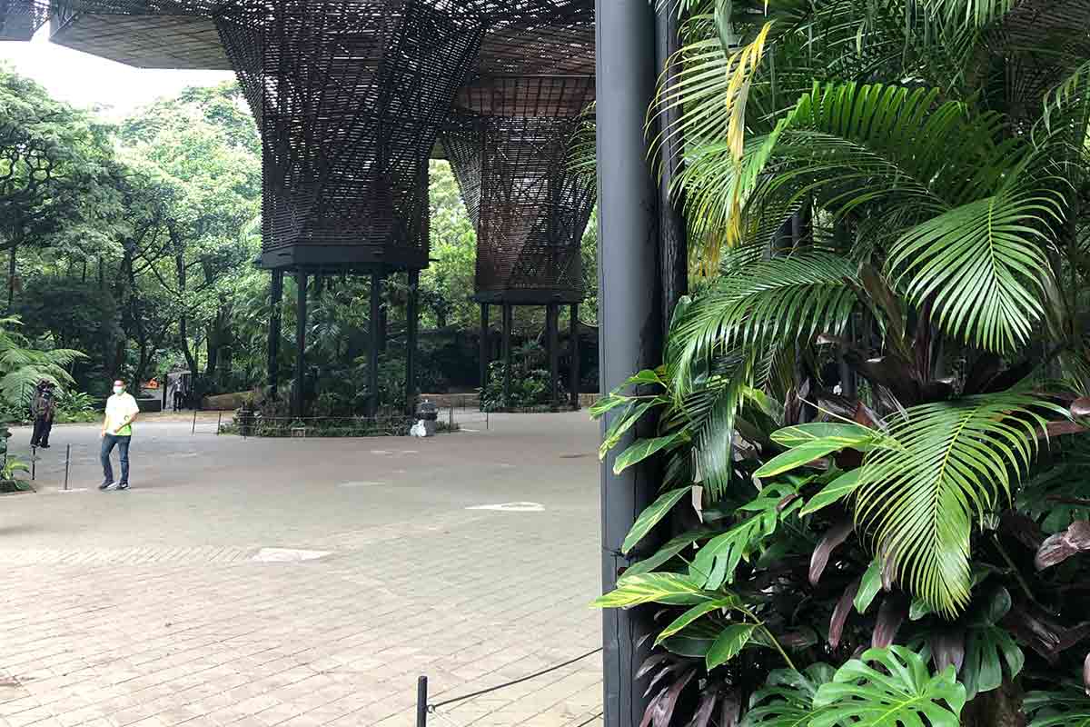 jardin botanico medellin