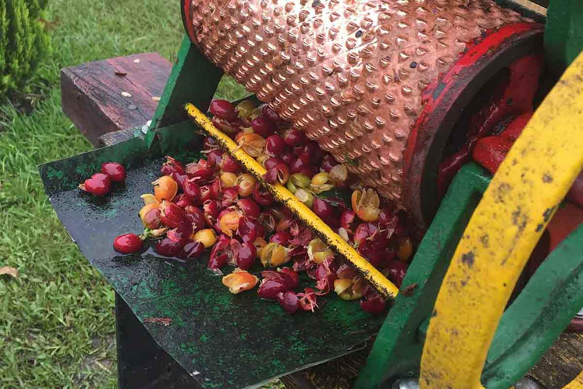 colombian coffee grinder