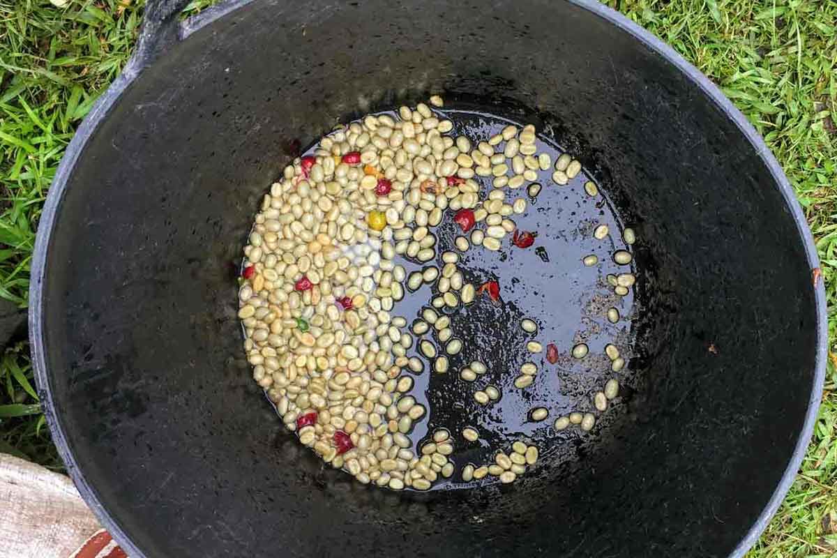 green coffee beans colombia