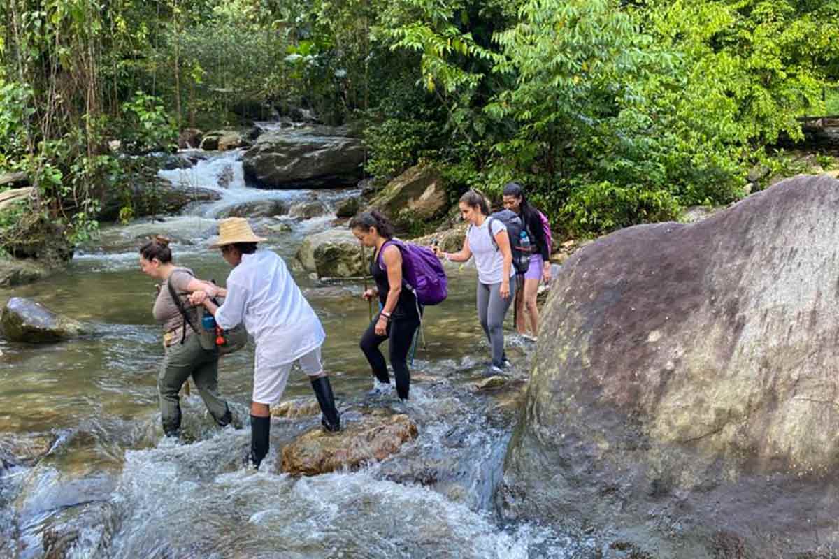 hiking lost city colombia