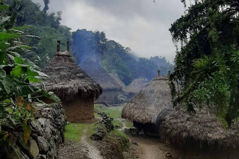 lost city trek colombia