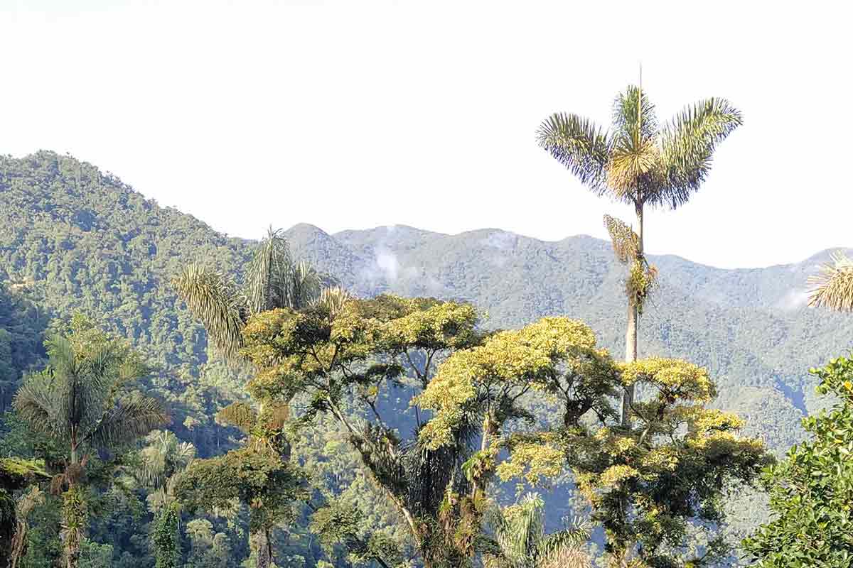 sierra nevada mountains colombia